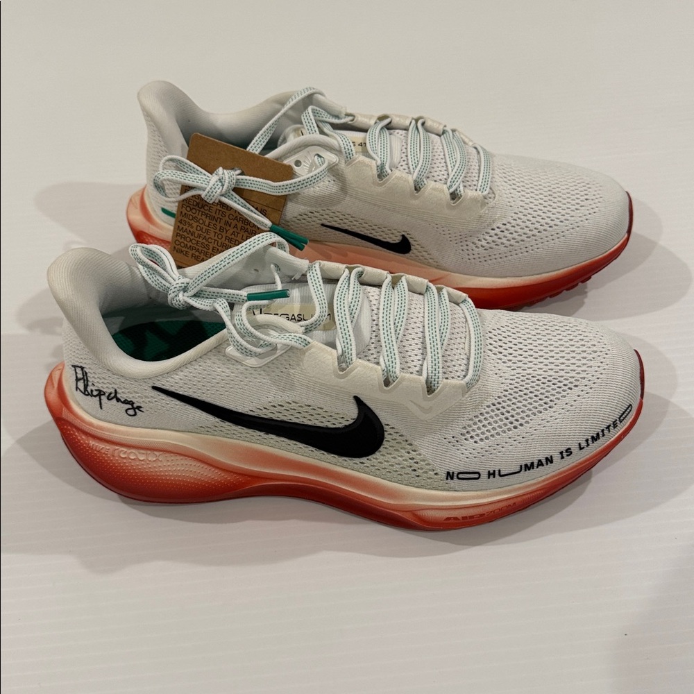 Nike Pegasus 41 EK Limited Edition Size Men 7/ Women 8.5 Brand New with Box! - Picture 2 of 10
